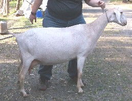 Jill's right side as a 3 year old